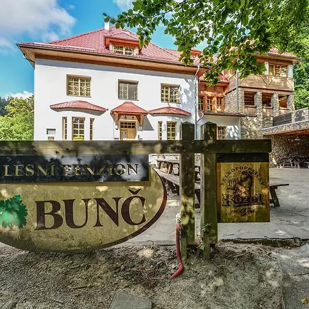 Lesní Bunč