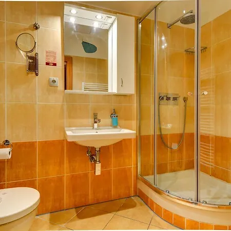 Pensión Lesní Bunč 3*